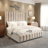  Wingback Divan Bed With Drawer Storage in Cream Plush Velvet